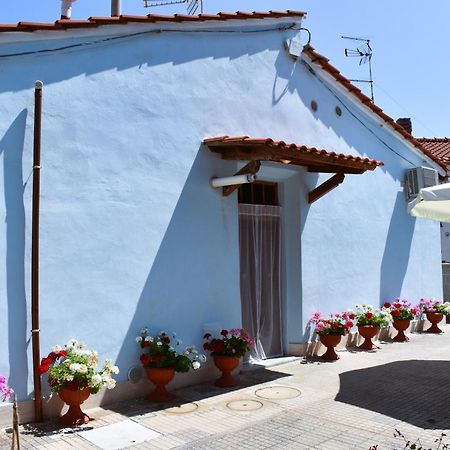 Villino La Perla Azzurra- Marina Di Pisa Villa Dış mekan fotoğraf