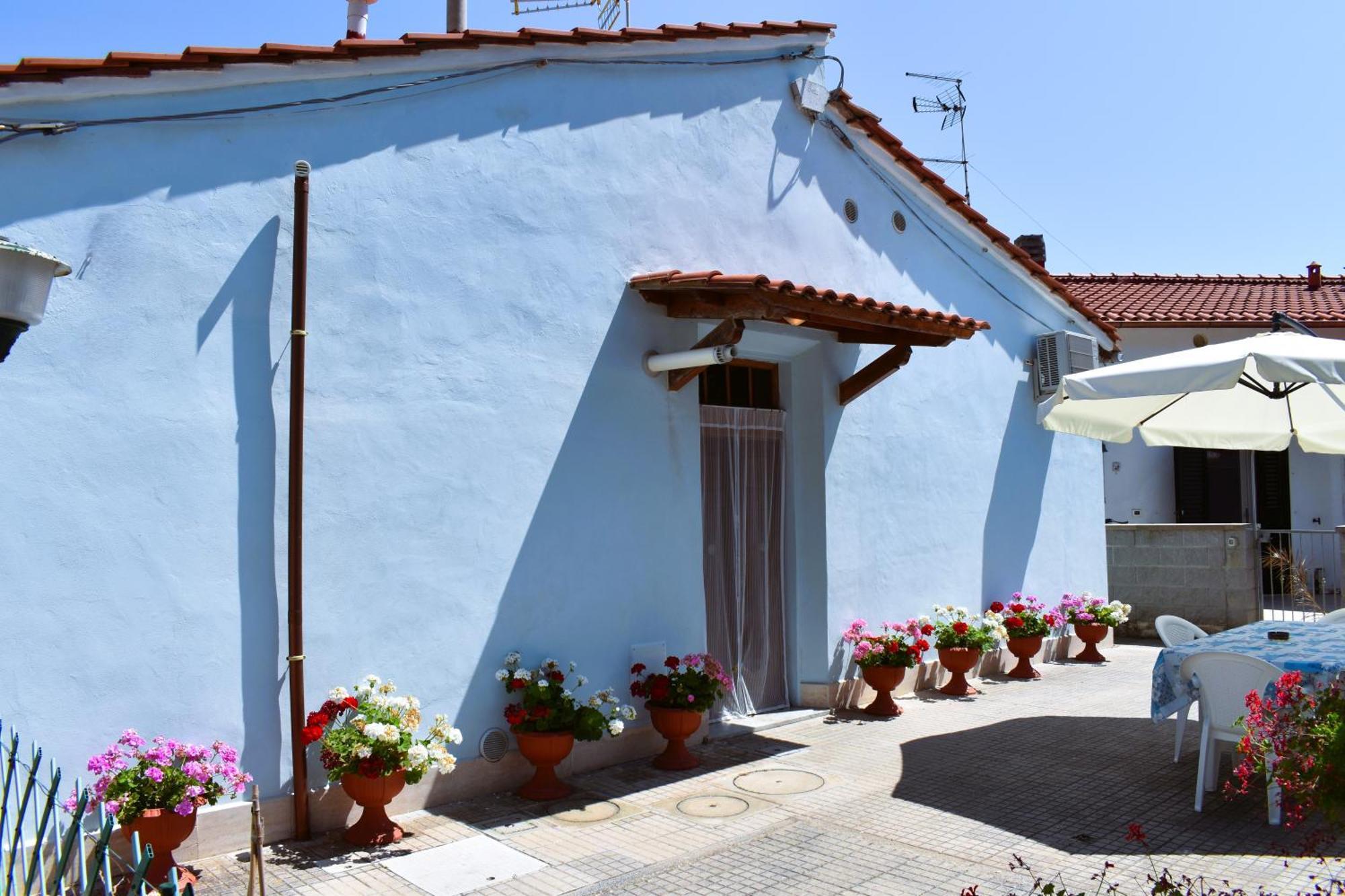 Villino La Perla Azzurra- Marina Di Pisa Villa Dış mekan fotoğraf